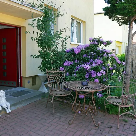 Cozy Souterrain-half-basement-apartment Included 2 Bicycles