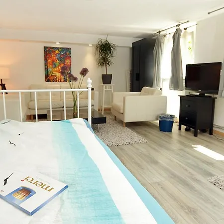 Cozy Souterrain-half-basement-apartment Included 2 Bicycles